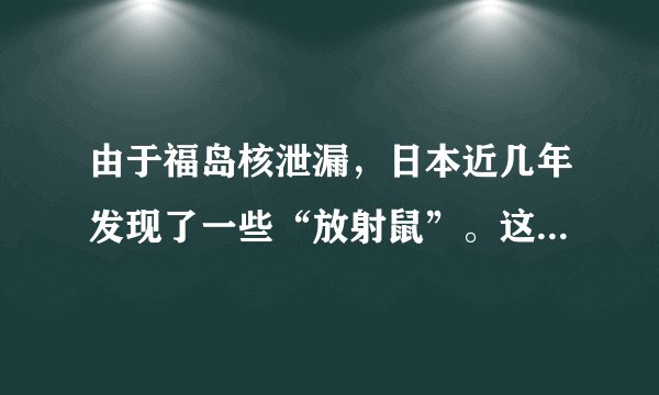由于福岛核泄漏，日本近几年发现了一些“放射鼠”。这些老鼠有的不仅体型巨大，其带有的放射性可能也会使人类处于危险之中。下列有关生物变异的说法正确的是（　　）A.DNA中碱基对发生增添、缺失或替换必然导致基因突变B.单倍体的体细胞中含有单个染色体组，不可能存在同源染色体C.交叉互换、自由组合、转基因技术都属于基因重组D.因为三倍体无子西瓜高度不育所以无子性状的变异是不可遗传变异
