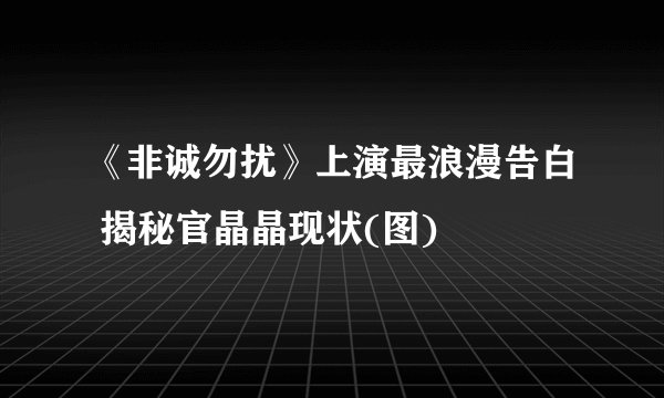 《非诚勿扰》上演最浪漫告白 揭秘官晶晶现状(图)