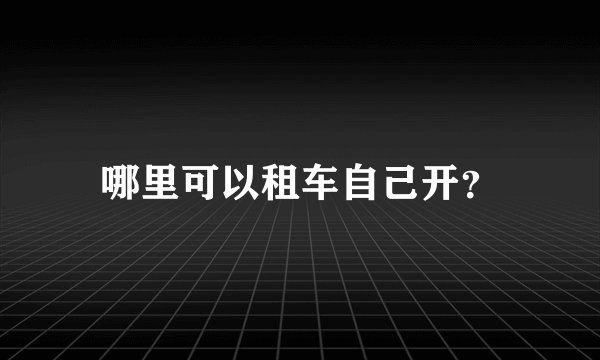 哪里可以租车自己开？