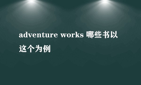 adventure works 哪些书以这个为例