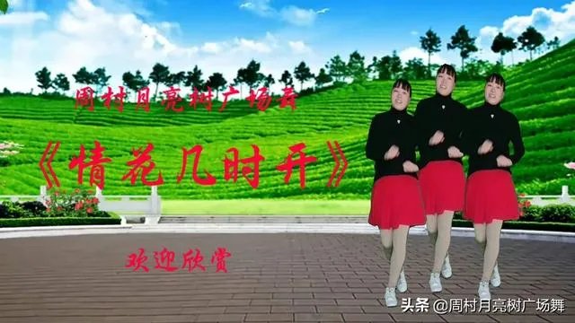 学跳广场舞的双人舞和单人舞,哪种更难?