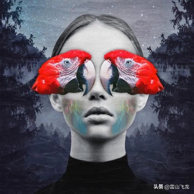 如何欣赏一平面设计作品?