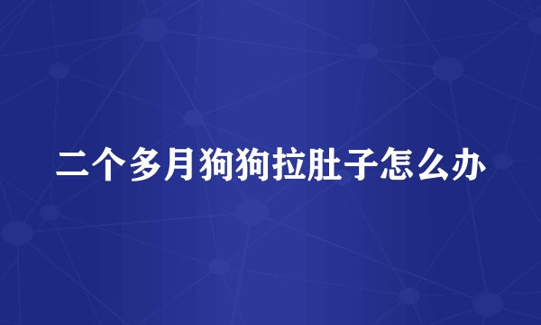 二个多月狗狗拉肚子怎么办