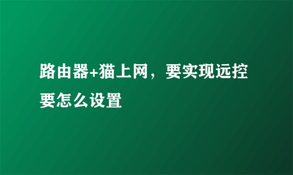 路由器+猫上网，要实现远控要怎么设置