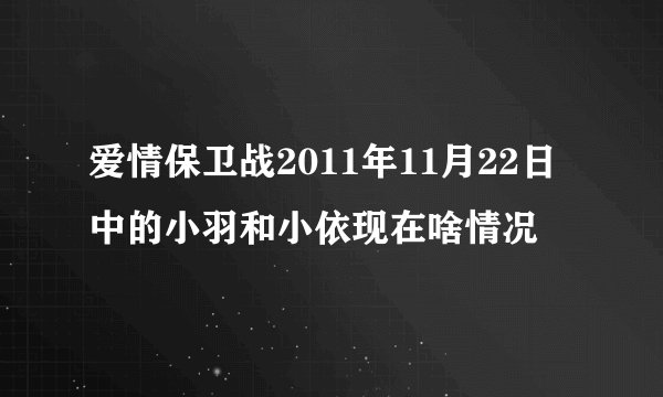 爱情保卫战2011年11月22日中的小羽和小依现在啥情况