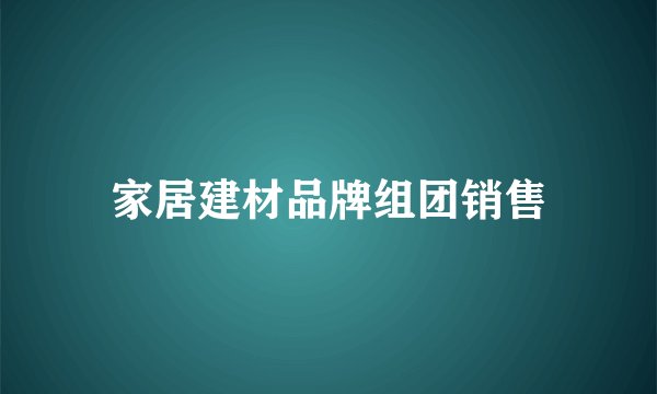 家居建材品牌组团销售