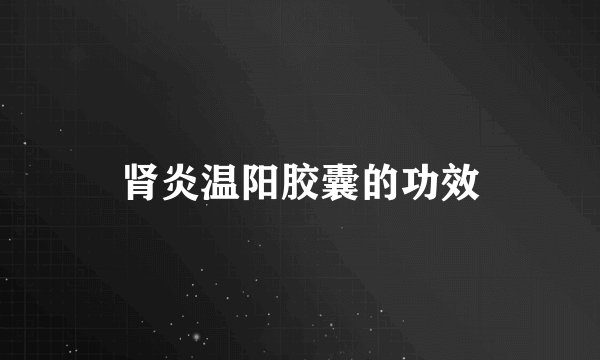 肾炎温阳胶囊的功效