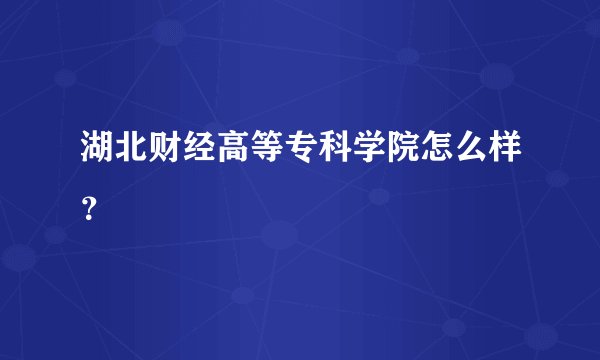 湖北财经高等专科学院怎么样？