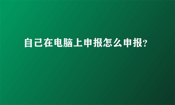 自己在电脑上申报怎么申报？