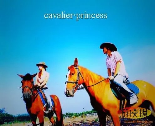 吴建豪结婚照曝光 盘点娱乐明星罕见搞怪婚纱照