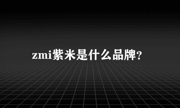 zmi紫米是什么品牌？