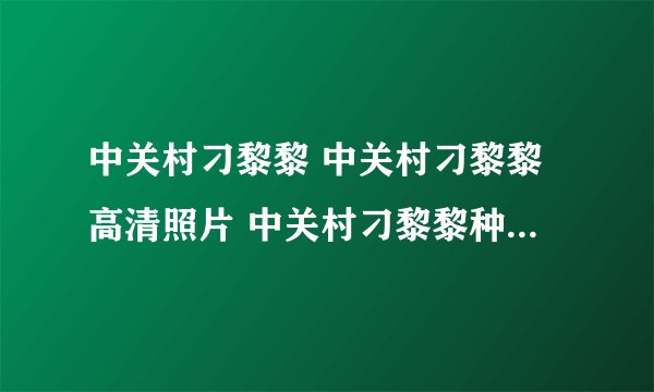 中关村刁黎黎 中关村刁黎黎高清照片 中关村刁黎黎种子bt 中关村刁黎黎视频