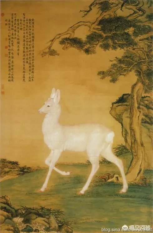 我国首现白色马鹿是大自然给予的奇迹吗？