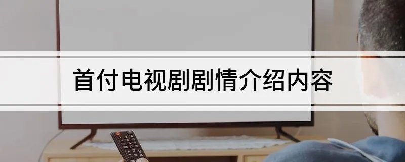 首付电视剧剧情介绍内容