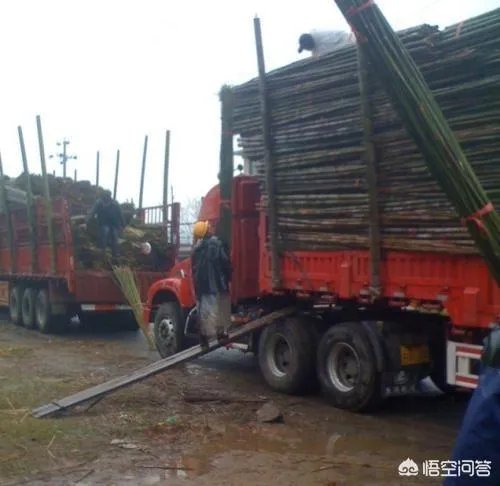 河北司机携妻儿登门感谢河南大叔称是他救了我的命，你怎么看？