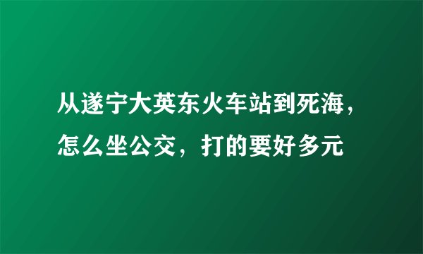 从遂宁大英东火车站到死海，怎么坐公交，打的要好多元