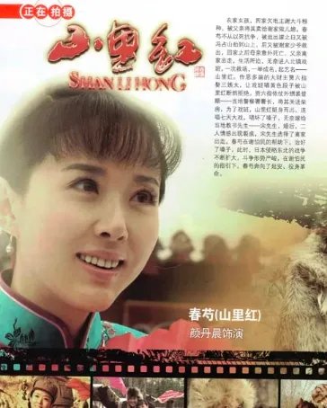 山里红电视剧情介绍