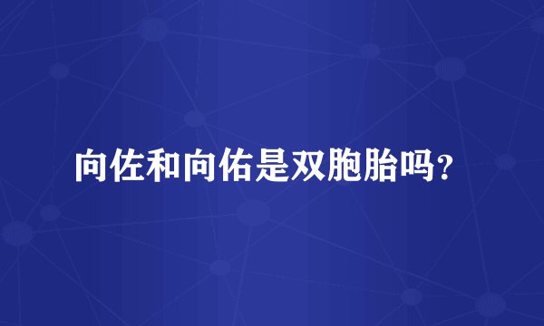 向佐和向佑是双胞胎吗？