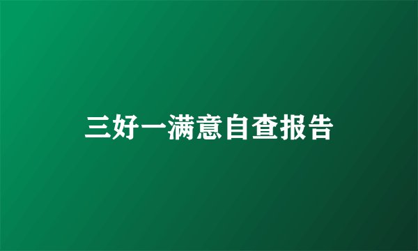 三好一满意自查报告