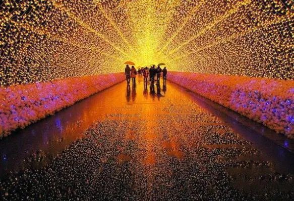 苏浅炎子昂小说 苏浅炎子昂全文免费阅读