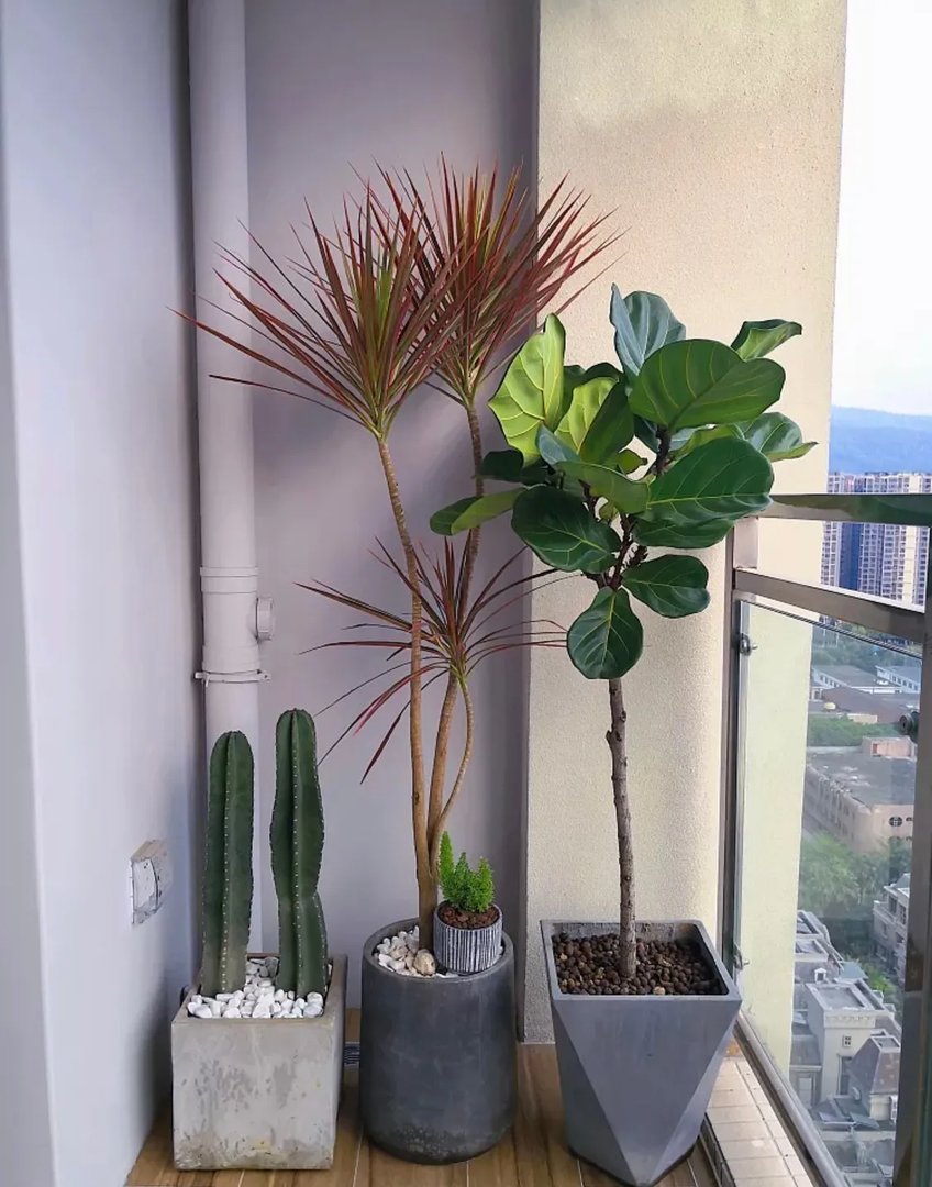 阳台管道太碍眼，下面的美化你喜欢哪种做法呢？