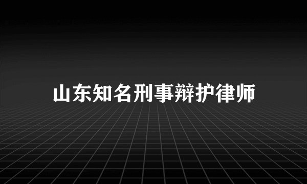 山东知名刑事辩护律师