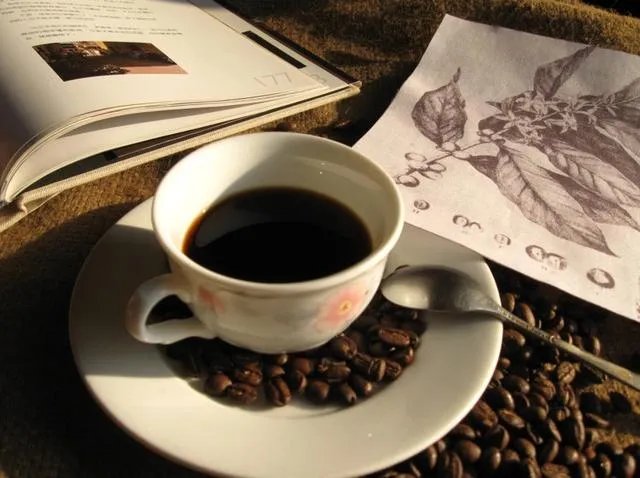 海南有什么特产？