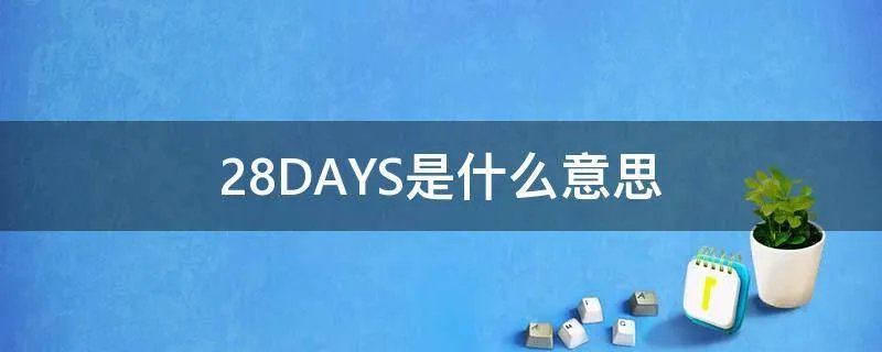 28DAYS是什么意思