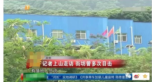 深圳闹市区出现多只野生豹猫正常吗？