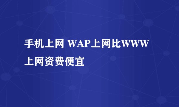 手机上网 WAP上网比WWW上网资费便宜