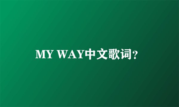 MY WAY中文歌词？
