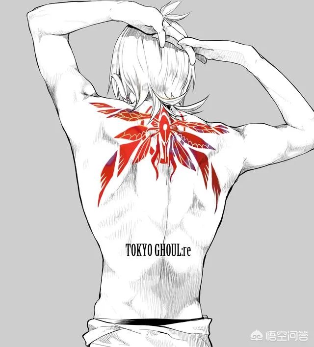 东京食尸鬼从哪里可以看