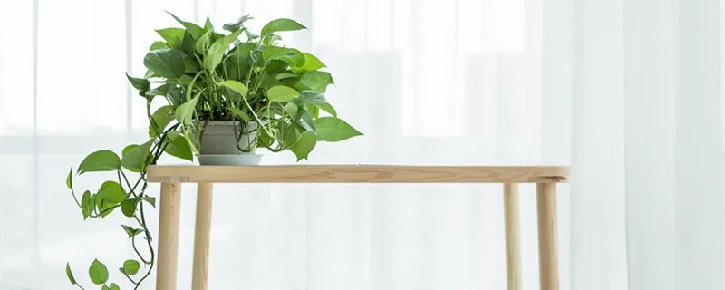 清除装修污染怎么做 怎么清除装修污染