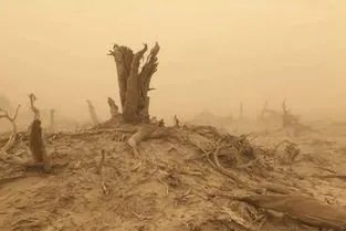 中央气象台发布沙尘暴黄色预警信号，哪些地区受沙尘天气影响严重？