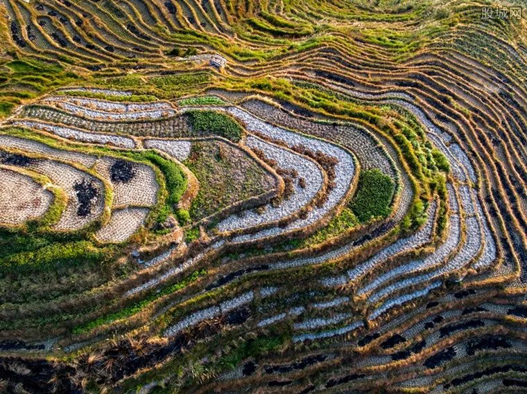 三月适合去哪旅游 三月这些地方最好玩