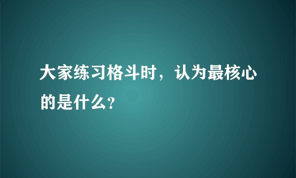 大家练习格斗时，认为最核心的是什么？