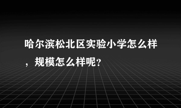 哈尔滨松北区实验小学怎么样，规模怎么样呢？