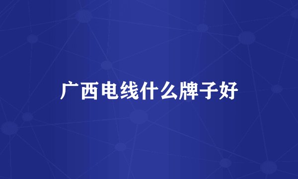 广西电线什么牌子好