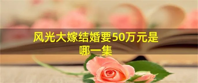 风光大嫁结婚要50万元是哪一集
