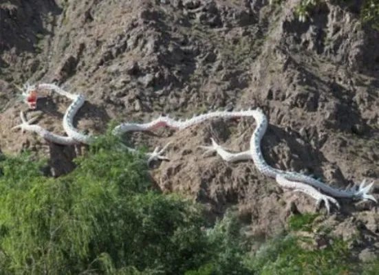 震惊!村民修路竟挖出千年真龙!(图)