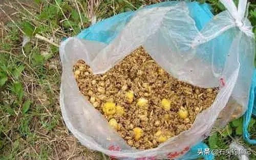 下雨天河边钓鱼，打鱼窝有没有效果，知道的老铁能否分享下经验？