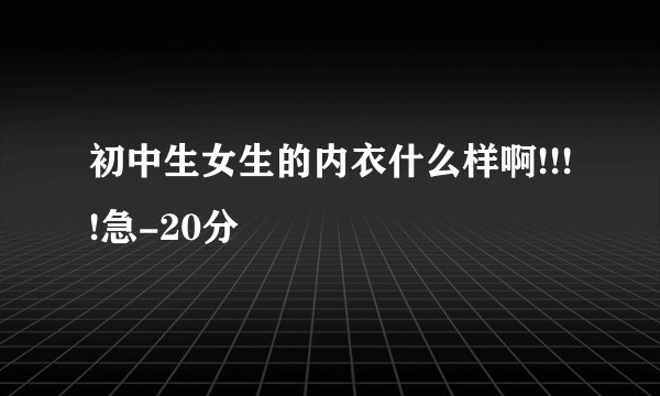 初中生女生的内衣什么样啊!!!!急-20分
