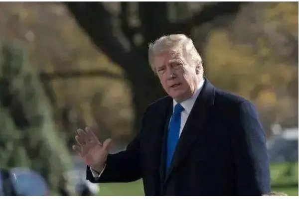 美国大选什么时候出结果