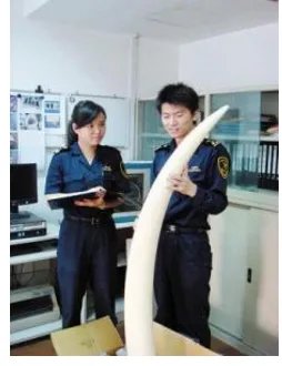 海关截获走私象牙怎么处理的?