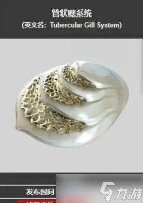 星际战甲管状鳃系统在哪