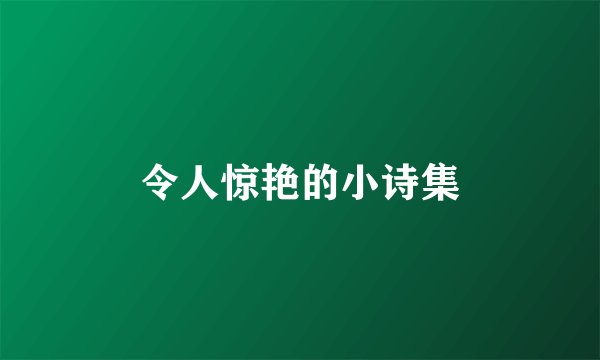 令人惊艳的小诗集