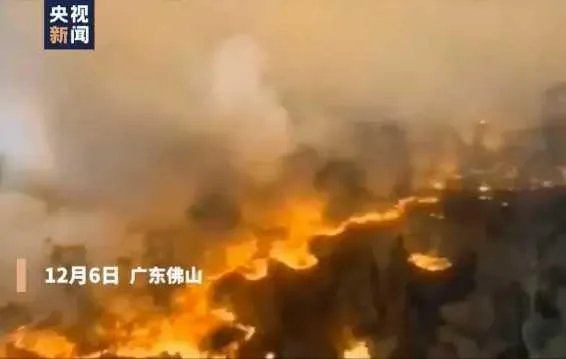 佛山凌云山山火：明火基本扑灭，东线两处复燃被灭, 你怎么看？