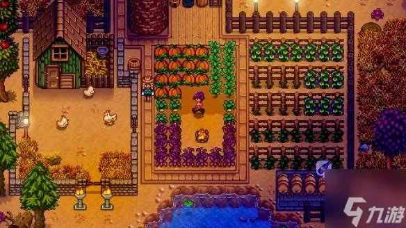 《星露谷物语 像素谷》分辨率设置及换装方法解析攻略