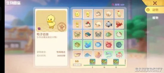 《摩尔庄园》钓鱼图鉴大全 全鱼类出现地点及时间一览