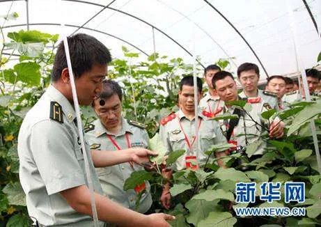 田园乐·萋萋芳草春绿的作品鉴赏